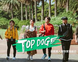 抖阴精品《TOP DOG》免费在线观看