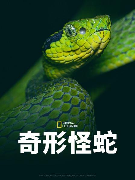 抖阴视频《奇形怪蛇》免费在线观看